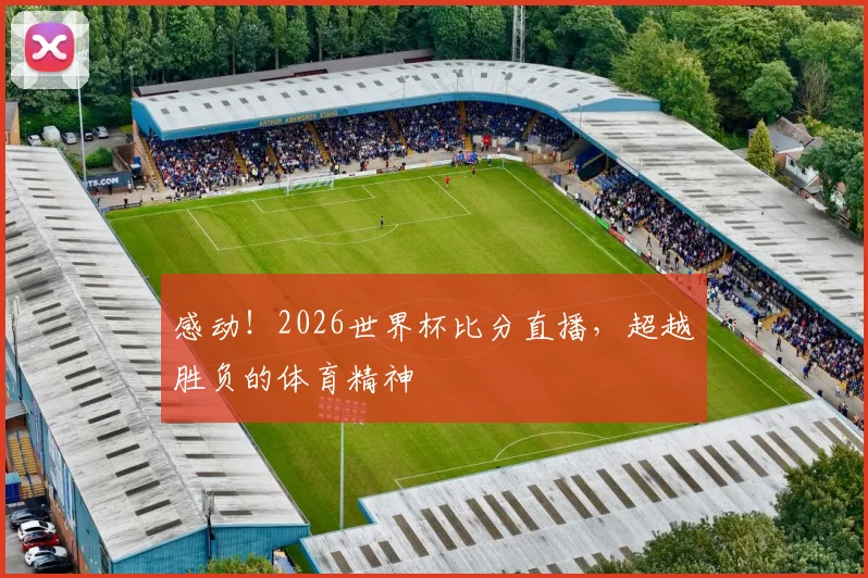 感动！2026世界杯比分直播，超越胜负的体育精神
